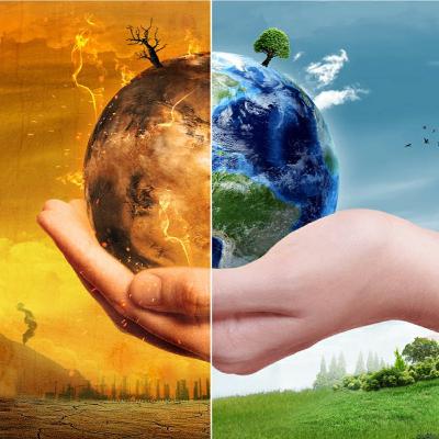 Root Down to Rise Up a Healing Meditation for Mother Earth