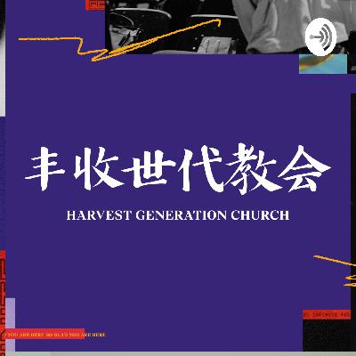 盈盈 - 计划被打乱！为何不让我直达目的地？