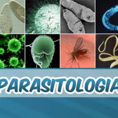 Parasitologia