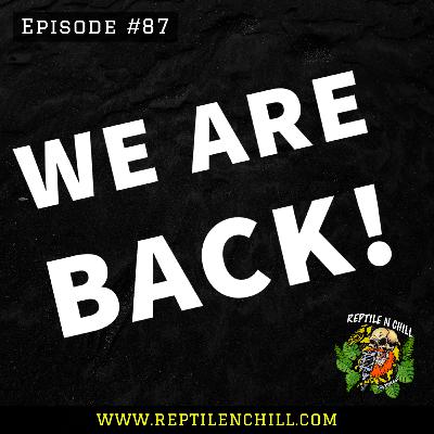 The boys are back in town! - 87 Reptile n Chill The boys are back in town! - 87 Reptile n Chill