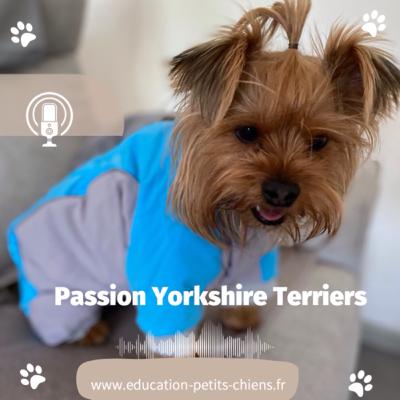 Passion Yorkshire terriers : Le guide de formation humaine pour Yorkshire terriers : Les humains