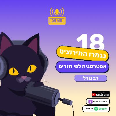 נגמרו התירוצים. 3 אסטרטגיות להתנהלות כלכלית לפי גובה התזרים - דב נודל בפרק 18 בפודקאסט חתול פיננסי