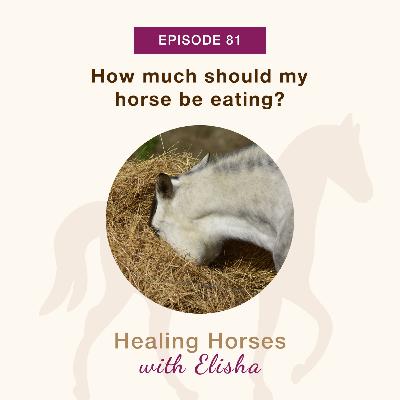 81: How Much Should My Horse Be Eating?