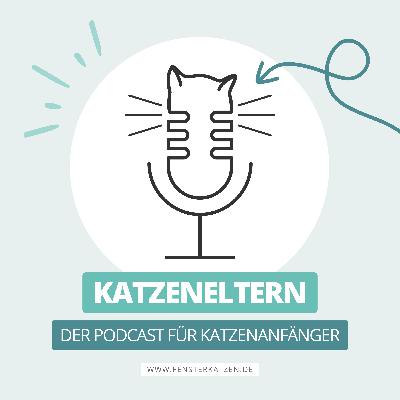 Babyalarm: So waren die ersten Monate mit Katzen & Baby