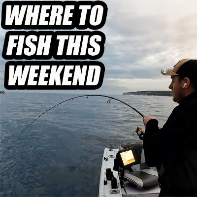 WHERE TO GO FISHING THIS WEEKEND - Fishing Report - 30/08/24
