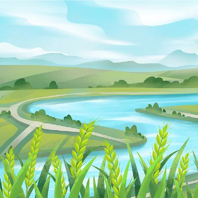 China's grand forest paradox China's grand forest paradox