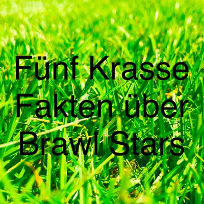 #24| Fünf krasse Fakten über Brawl Stars (Teil 2)