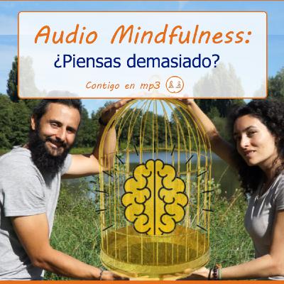 Mindfulness: Pensar Demasiado