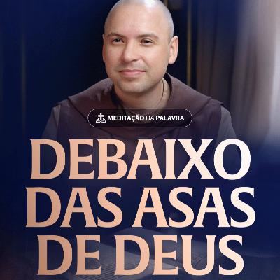 Debaixo das asas de Deus | (Lucas 13, 31-35) #2514 | Meditação da Palavra