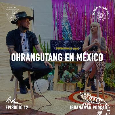 Episodio 11 Iguanamar Podcast: Ohrangutang en México.