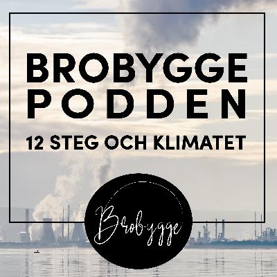 12 steg för klimatet – återbesöket 12 steg för klimatet – återbesöket