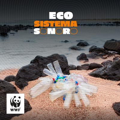Episodio 3: Plásticos, una amenaza sin fronteras