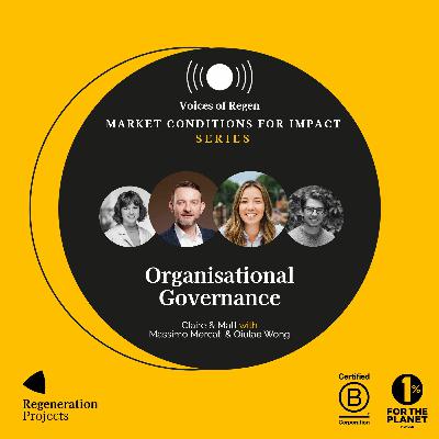Organisational Governance for Impact