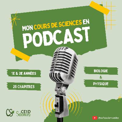 #10 La pression - 2e année - CE1D Sciences #10 La pression - 2e année - CE1D Sciences