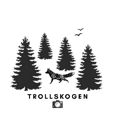 Fugle- og dyrefoto for nybegynnere