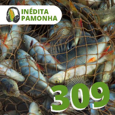 Inédita Pamonha 309 - A rede lançada ao mar Inédita Pamonha 309 - A rede lançada ao mar