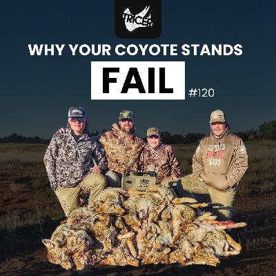 Why Most Coyote Stands Fail, Calls, Systems and Speed with Geoff Nemnich