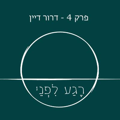 פרק רביעי - דרור דיין