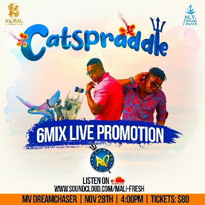 CATSPRADDLE LIVE PROMO 2020
