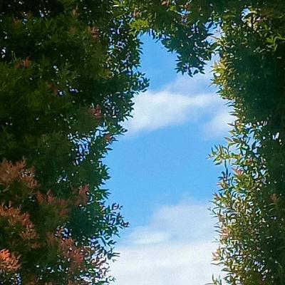 Rasa sakit Rasa sakit