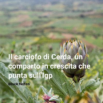 Il carciofo di Cerda, un comparto in crescita che punta sull'Igp