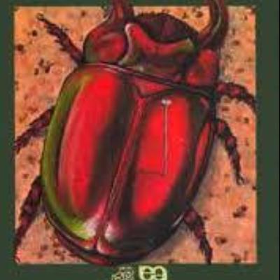 O Escaravelho do Diabo