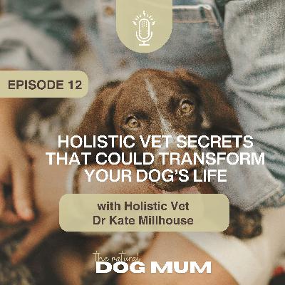 Holistic Vet Secrets That Could Transform Your Dog’s Life with Dr Kate Millhouse