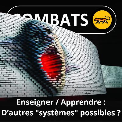 S05E06 Enseigner / apprendre : Le dessous des cartes... scolaires (Laurent Jolie)