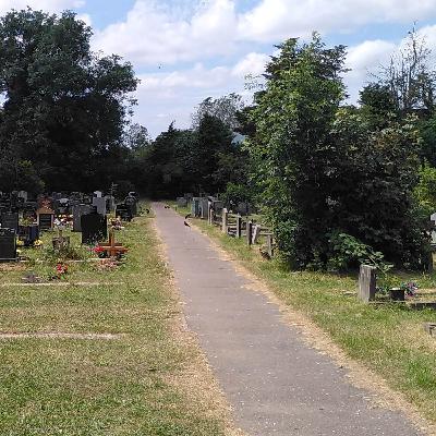 2024-06-28 Crows in the Cemetery on a Hot June Afternoon (2024-06)