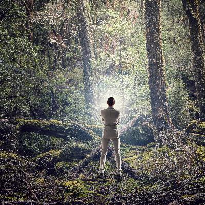 LOST SOUL ANIMAL RESCUE Conversation:  with Gary Mok, Karen Lam and Dr. Alison Bailey