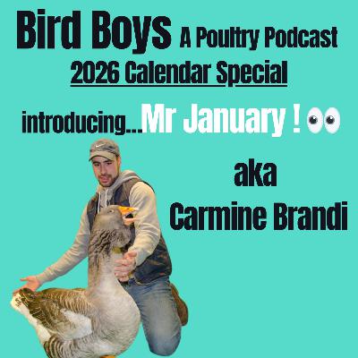 Introducing Mr January - Carmine Brandi! Introducing Mr January - Carmine Brandi!