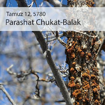 AE: Torah for the Earth - Chukat-Balak AE: Torah for the Earth - Chukat-Balak