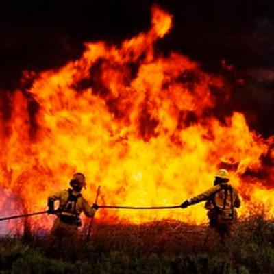 #17: The science behind unruly fires