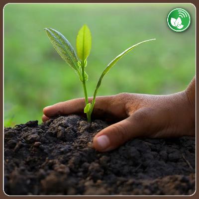 Suelos, sustentabilidad y negocios: el nuevo eje del agro argentino