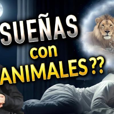 Reveladores Sueños de San Juan Bosco - Te Sorprenderá! | Podcast Salve María 232