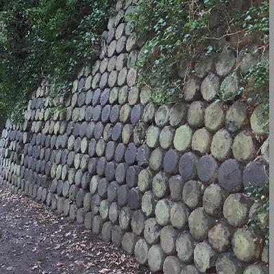 The Angry Wall