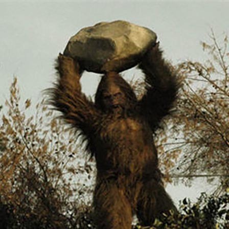 Bigfoot, King of the Forest