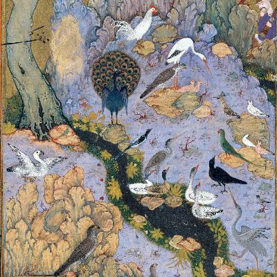 Conference of the Birds - Part 1