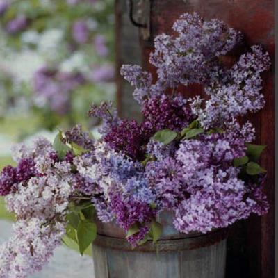 Temporary things will not last