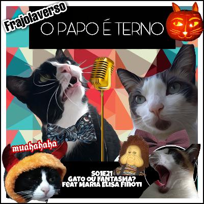 Gato ou Fantasma? feat. Maria Elisa Finoti | O Papo É Terno S01E21