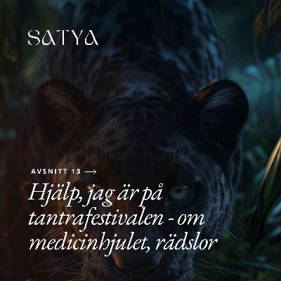 Hjälp, jag är på tantrafestivalen - om medicinhjulet, rädsla & jaguarens väg