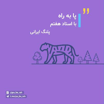 با استاد هفتم: پلنگ ایرانی