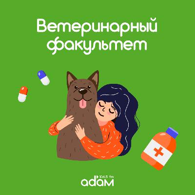 Ветеринарный факультет. Как стать ответственным хозяином? 20/08/24 Ветеринарный факультет. Как стать ответственным хозяином? 20/08/24