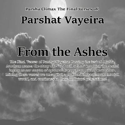 From The Ashes