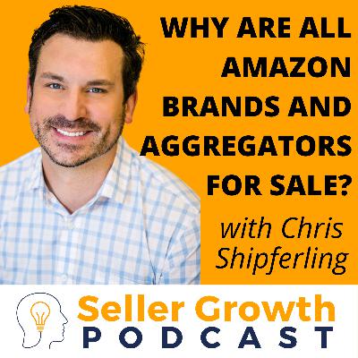 Why are all Amazon Brands and Aggregators for Sale? | Chris Shipferling