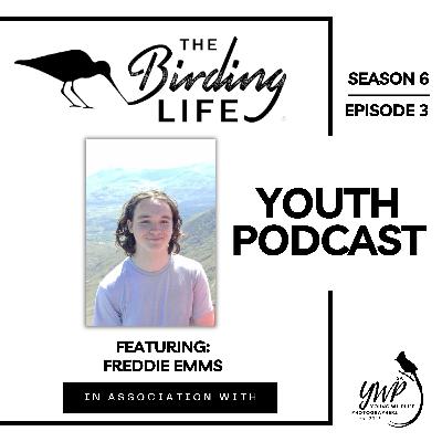 Season 6: Ep 3 | David Attenborough, England and the RSPB