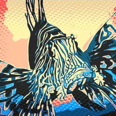 Pez León - Especie del día 6 Pez León - Especie del día 6