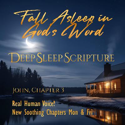 John, Chapter 3 – 30 min. Deep Sleep Scripture Sleep Bible Chapters #BibleForSleep #BibleAudio John, Chapter 3 – 30 min. Deep Sleep Scripture Sleep Bible Chapters #BibleForSleep #BibleAudio