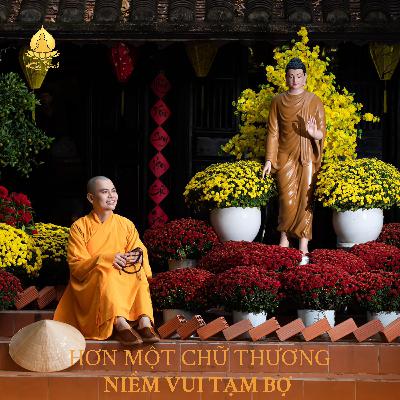 [Sách Nói] Phần 1 | Hơn Một Chữ Thương: Niềm Vui Tạm Bợ - Tác giả: Thích Khải Thành