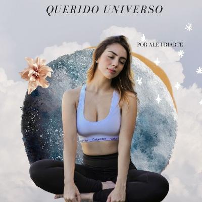 RISE AND VIBE 01 : Soltando Expectativas